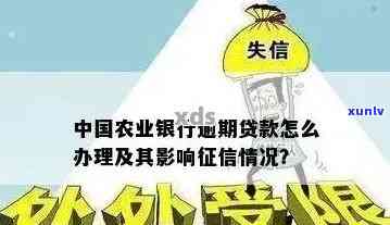 农业银行信用贷款逾期，农业银行信用贷款逾期：应对策略与解决方案