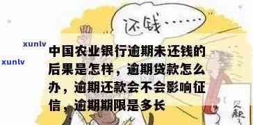 农业银行信用贷款逾期，农业银行信用贷款逾期：应对策略与解决方案