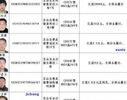 红河州信用卡逾期人员名单公示及查询最新信息