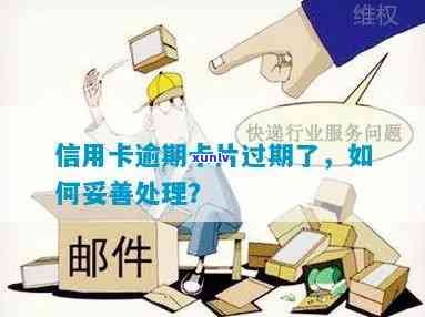 从生普到成熟普：全面解析茶叶的演变过程及品鉴技巧