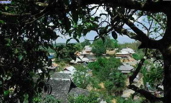 勐海老班章村图片，勐海老班章村：探索之旅的视觉回忆