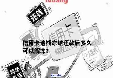 逾期信用卡：还款新规，坐牢？还清后何时能再用？恢复时长？冻结解冻？利息如何算？