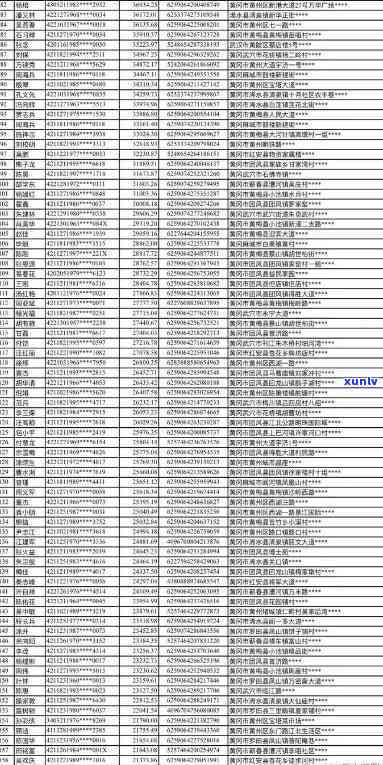 固安县信用卡逾期人员名单，固安县信用卡逾期人员名单：警示与管理的关键列表