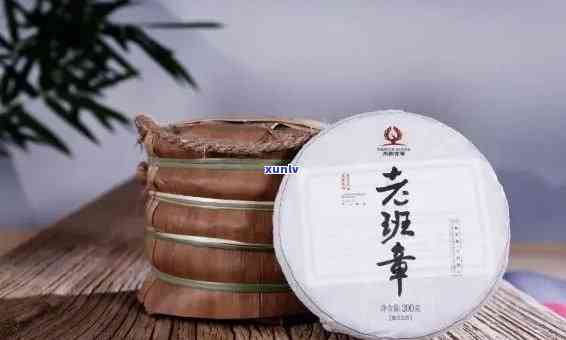 老班章茶厂直销，直销茶厂老班章：品质与传统的完美结合