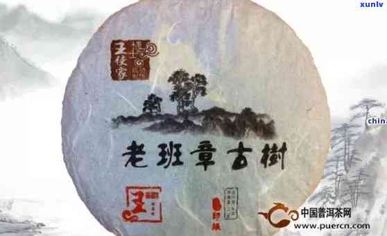 老班章都是古树茶吗-老班章古树茶特点