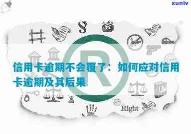 信用卡发生逾期再申请-信用卡发生逾期再申请会怎么样