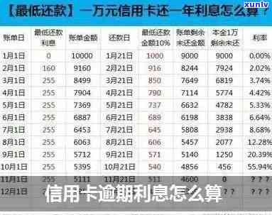 信用卡逾期咋么算-信用卡逾期咋么算利息