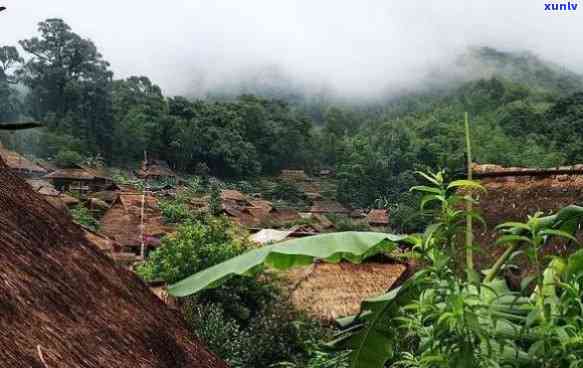 云南美丽乡村老班章-云南老班章土豪村