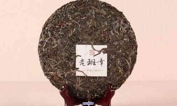 老班章好还是冰岛茶好？档次、口味、价格比较