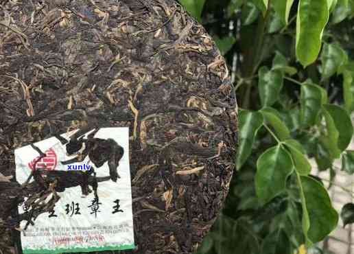 勐海华洋茶叶老班章-勐海华洋茶叶班章王