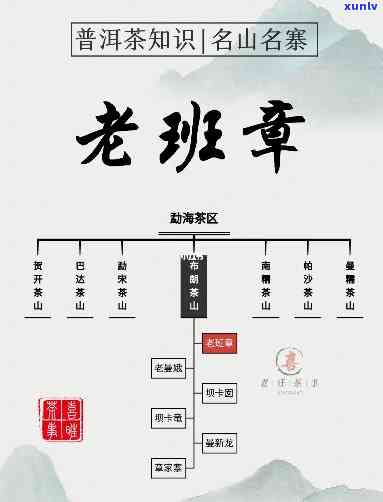 老班章的家谱怎么样-老班章介绍