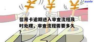 逾期审核流程是什么，逾期审核流程：解析贷款违约与处理步骤