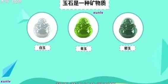 信用卡逾期费用减免方案：助力信用修复与债务缓解