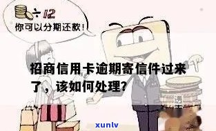 信用卡逾期收到邮箱怎么处理，信用卡逾期邮件：应对策略解析