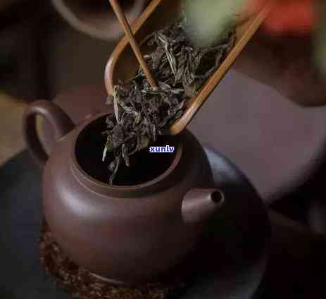 冰岛茶和老班章谁好-冰岛茶和老班章哪个好