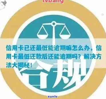 2020年信用卡代还平台比较好用，行业怎样，口子