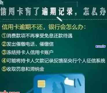 信用卡逾期银行核实住址-信用卡逾期银行核实住址有影响吗