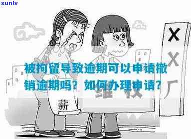 逾期申请撤销能成功么，影响及写作指南