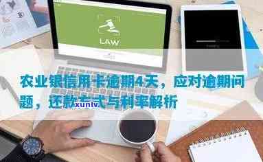 农业信用卡逾期怎么还款-农业信用卡逾期怎么还款最划算