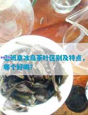 老班章冰岛的区别与茶特点及价格比较