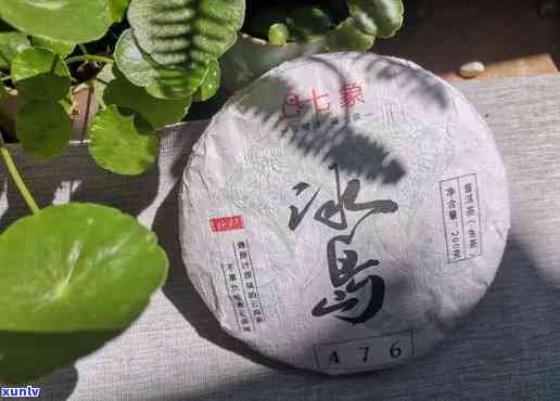 冰岛和老班章普洱茶的区别与特点-冰岛普洱茶和老班章哪个好