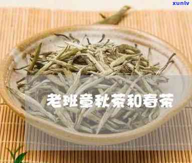 老班章春茶秋茶区别-老班章春茶和秋茶区别