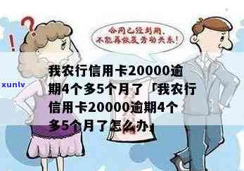 我农行信用卡20000逾期4个多5个月了，怎么办？