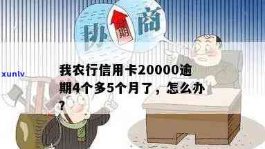 我农行信用卡20000逾期4个多5个月了，怎么办？