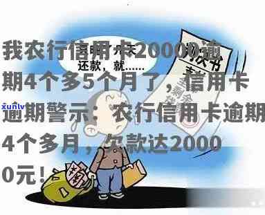 我农行信用卡20000逾期4个多5个月了，怎么办？