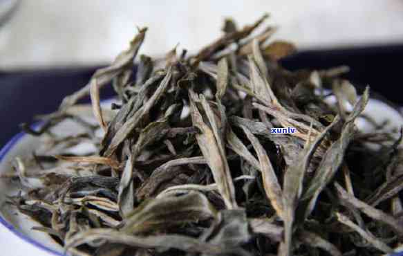 老班章古树茶属于什么茶，老班章古树茶：属于哪一类茶？