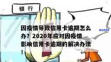 2020年信用卡坏账处理及逾期情况