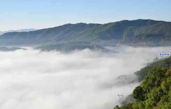 普洱山云海景观介绍及视频