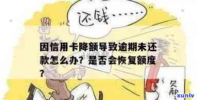 信用卡逾期可用额度降低了，如何恢复？