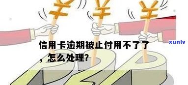 信用卡没有逾期被止付了怎么办理，处理信用卡逾期被止付的步骤与建议