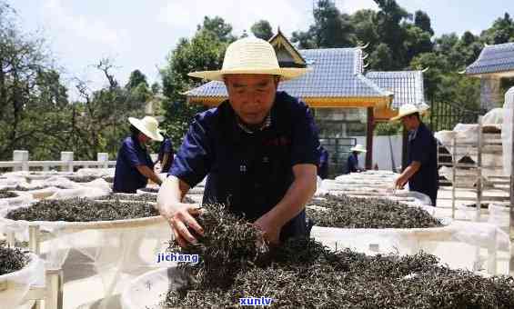 班章村永平，永平在班章村：一个村民的奋斗故事