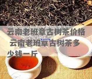 云南老班章茶价格及相关信息