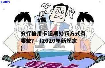 2020年农行信用卡逾期新法规解读及变化