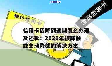 2020年信用卡被降额信息及处理