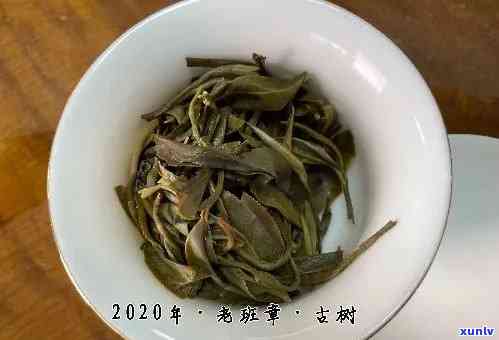 勐海普洱生茶小茶饼最新价格一览