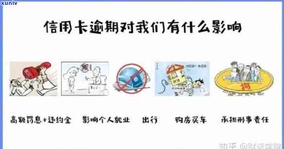 全面了解老班章十年价格变化，轻松对比各年份班章投资价值与市场行情