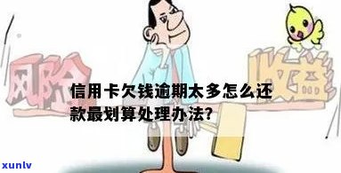 信用卡逾期还款困境破解：实用指南助你走出财务危机