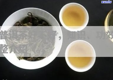 黄金芽和普洱茶哪个好？功效与作用、等级对比