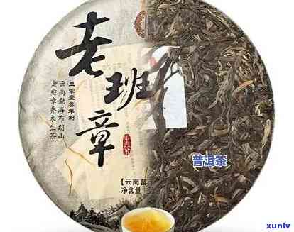 老班章古树茶价格，老班章古树茶价格：品质与价值的平探索