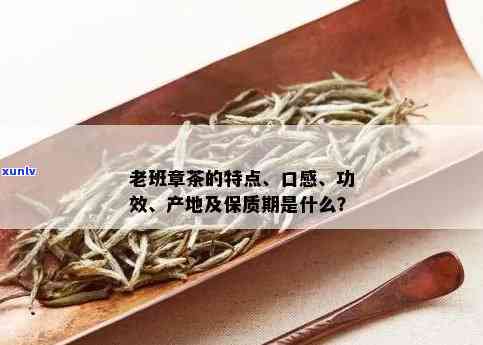 老班章茶属于什么茶类，特点与功效，茶厂生产，口感