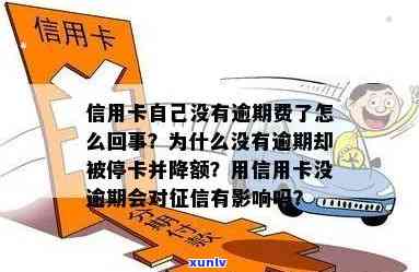 信用卡怎么不显示逾期了，为什么不显示欠多少钱和还款日期，逾期被停了吗？