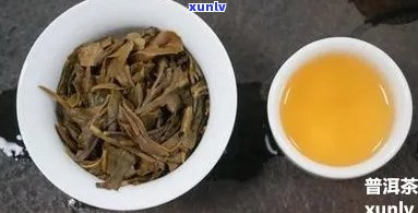 老班章是什么茶区，茶的意思、特点和口感，茶厂生产