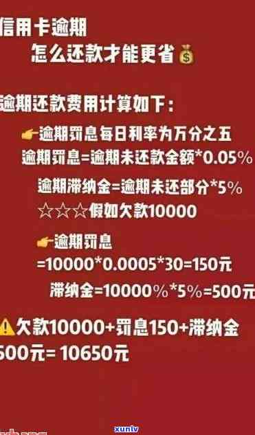 信用卡逾期更低还款0.5，更低还款率提升至0.5%：信用卡逾期费用调整