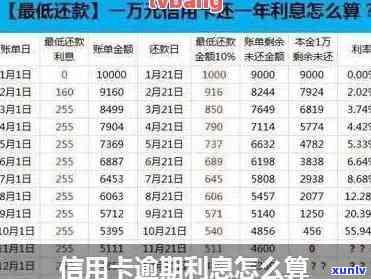 信用卡逾期收了利息-信用卡逾期收了利息怎么投诉