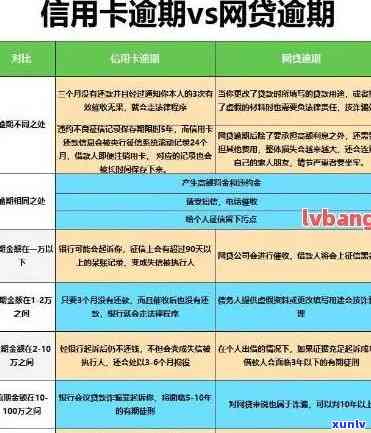 信用卡逾期次数怎么划分-信用卡逾期次数怎么划分的