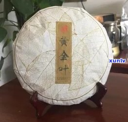 书剑老班章300克黄金叶生饼批发价，值得收藏吗？多少钱？